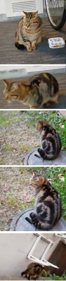い子ちゃん.jpg